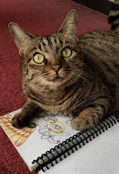 A tabby cat with striking green eyes rests its paws on a sketchbook featuring a colorful drawing of a character with a heart-shaped chest emblem and golden wings, seemingly interrupting the artist's progress on their 98% complete illustration.