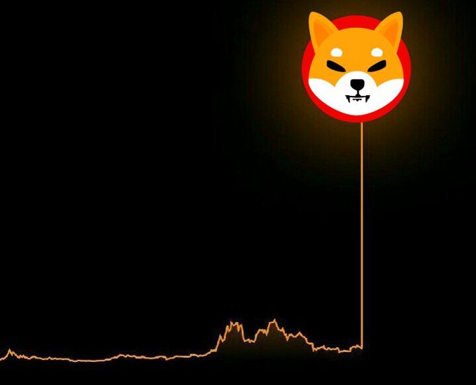 A Shiba Inu (DOGE) cryptocurrency logo on a red circle appearing as a pinpoint on a price chart with a downward trending line on black background.