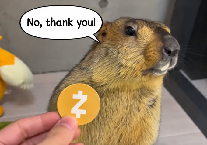 A marmot is offered a Zcash cryptocurrency coin while a speech bubble reads 'No, thank you!'.