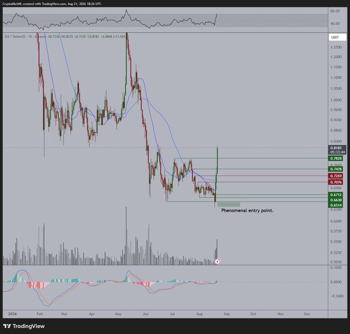 A TradingView chart for SUI/USDT showing a "Phenomenal entry point" annotation near $0.70, with key resistance levels marked at $0.7076, $0.7478, $0.7828, and $0.8183/$0.8215, supporting the post's suggestion of potential consolidation before continuation toward $1.20.
