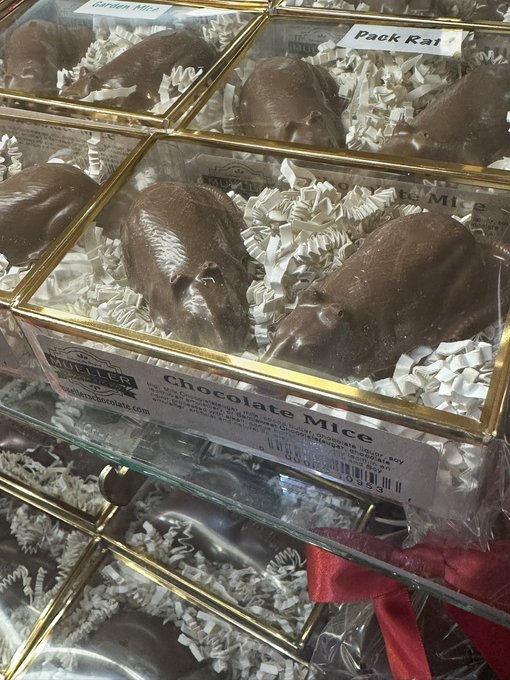 Chocolate mice are displayed in clear boxes with white paper shreds, labeled 'Chocolate Mice' and 'Pack Rat' at a candy shop.