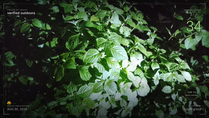A nighttime or low-light shot of lush green leaves with overlaid text including 'PROOF OF GRASS', 'verified outdoors', 'CURRENT STREAK DAY 34', 'TOP 1%', and 'AUG 30, 2026'.