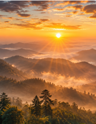 A breathtaking landscape photograph of a golden sunrise bursting over a misty, forested mountain range, with sun rays piercing through the clouds.