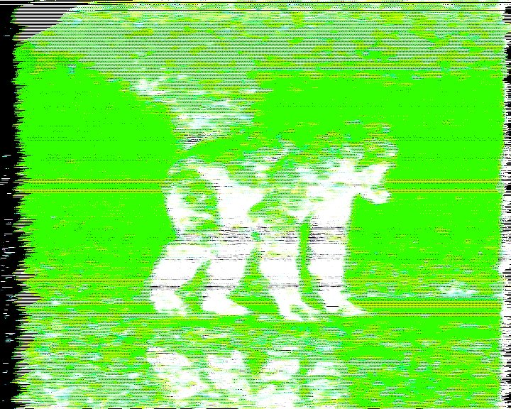 The image features a green background with white text that reads "walkway on @objktcom". The text appears to be in black, which contrasts with the green background. The focus of the image seems to be on this text rather than the surrounding environment or any other objects within it.