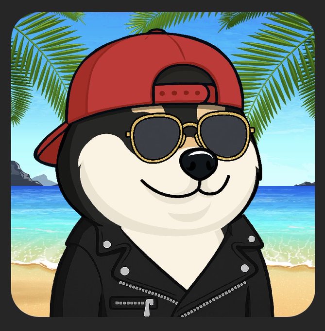 A cartoon profile picture of a husky dog wearing a red backwards cap, round gold sunglasses, and a black leather jacket, set against a tropical beach background with palm trees.