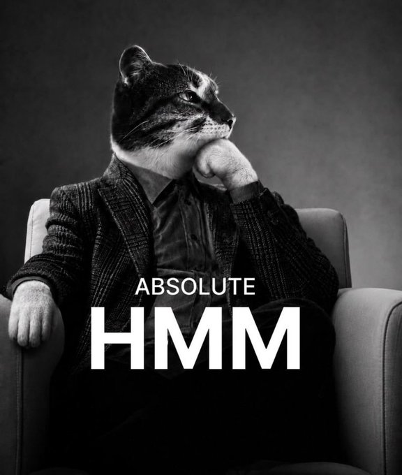 A black-and-white image shows a cat in a tweed blazer sitting in an armchair with its paw resting on its chin in a contemplative pose, overlaid with bold white text reading "ABSOLUTE HMM." The thoughtful cat perfectly embodies the post's message about $HMM's thoughtful accumulation phase and rising status.