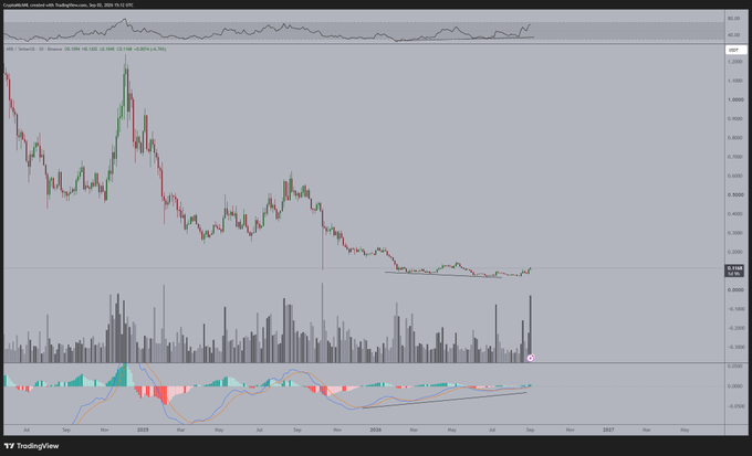 A TradingView candlestick chart of ARB/USDT on the ARB pair shows the price consolidating near $0.31 after a multi-year downtrend, with an MACD indicator displaying a bullish divergence at the bottom of the chart, supporting the post's claim that higher timeframe bullish divergences suggest further upside potential.