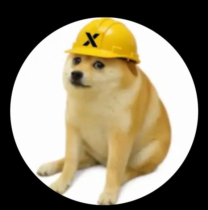 A Shiba Inu dog wearing a yellow hard hat with a black 'X' symbol on it, sitting against a white background in a circular frame.