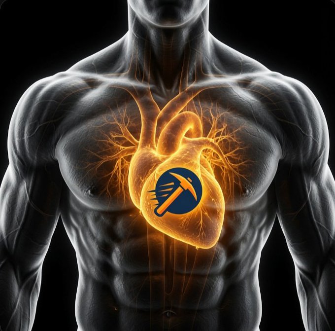 A stylized anatomical illustration of a human torso with an orange glowing heart, overlaid with a Bitcoin logo emblem.
