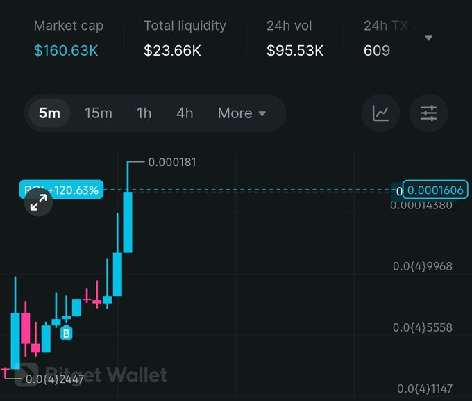A cryptocurrency trading chart on a dark background showing market cap of $160.63K, 24h volume of $95.53K, and a price of 0.0001606 with a +120.65% increase, labeled 'Bitget Wallet'.