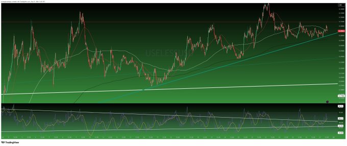 A green-themed candlestick trading chart on TradingView with moving averages, an RSI indicator panel below, and the watermark 'USELESS' across the middle.