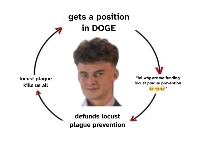 The image features a cartoon depiction of a man with curly hair wearing a suit, who appears to be a businessman or a professional. The caption below the image reads " Gets a position in DOGE", which suggests that the man's hairstyle is related to the concept of getting a position in the game "DOGE". This humorous and creative caption adds an element of fun and lightheartedness to the post, making it more engaging for the audience.