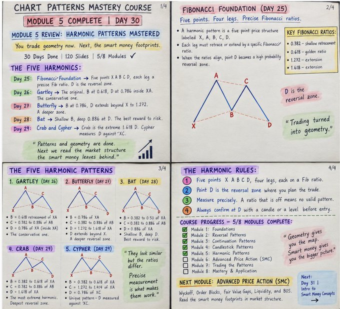 A four-panel study guide titled 'CHART PATTERNS MASTERY COURSE 1/4' detailing 'MODULE 5 COMPLETE | DAY 30' and explaining harmonic patterns including Gartley, Butterfly, Bat, Crab, and Cypher with Fibonacci ratios.