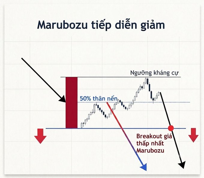 The image illustrates a "Bearish Marubozu Continuation" (Marubozu tiếp diễn giảm) candlestick pattern, showing a tall red bearish candle closing below the 50% midpoint of the prior candle, followed by a price breakout below support ("Ngưỡng kháng cự" / breakout giá thấp nhất Marubozu) with downward arrows indicating continued selling pressure—visually reinforcing the post's warning that BTC's June monthly candle was a bearish Marubozu, signaling overwhelming seller control.