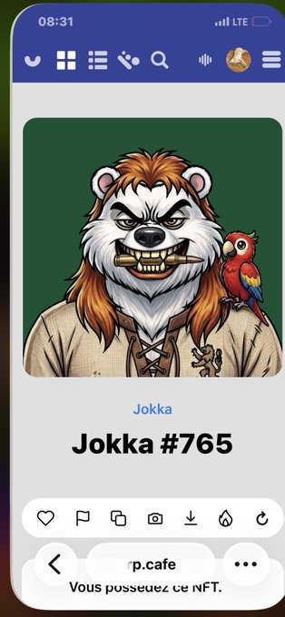 NFT trading interface on rnp.cafe displaying a 'Jokka #765' NFT featuring an anthropomorphic grizzly bear character with a red parrot, with French text 'Vous possédez ce NFT' (You own this NFT).