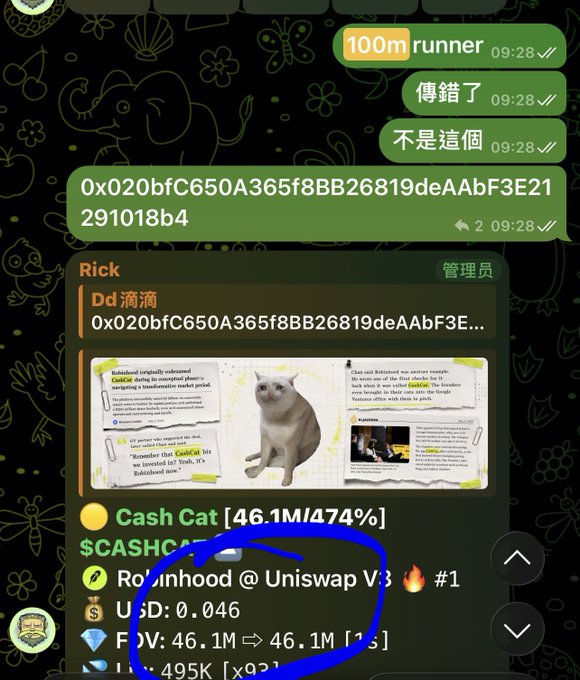 A Telegram chat screenshot in Chinese showing a conversation about a crypto token called "Cash Cat" with stats including 46.1M/74%, listed on Robinhood @ Uniswap V3 at USD 0.046, with a meme image of a cat.
