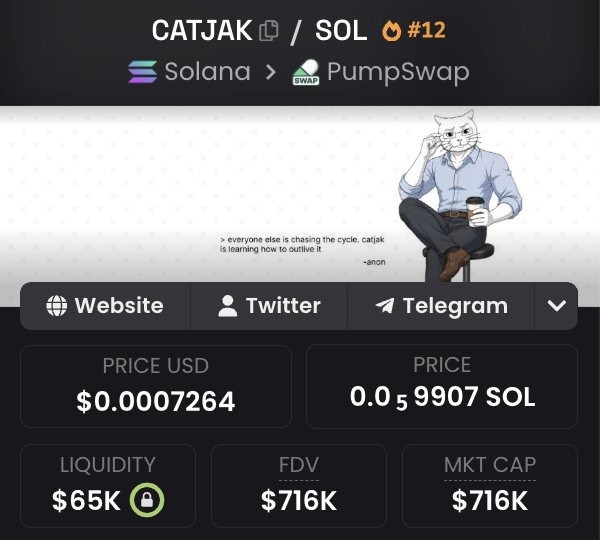 A meme token profile page for "CATJAK" (CATJAK/SOL #12) on Solana/PumpSwap showing a price of $0.0007264 USD (0.059907 SOL), a market cap of $716K, and an image of a cool cat with a quote about outlying the cycle—fitting the post's hype about $CATJAK hitting another all-time high.