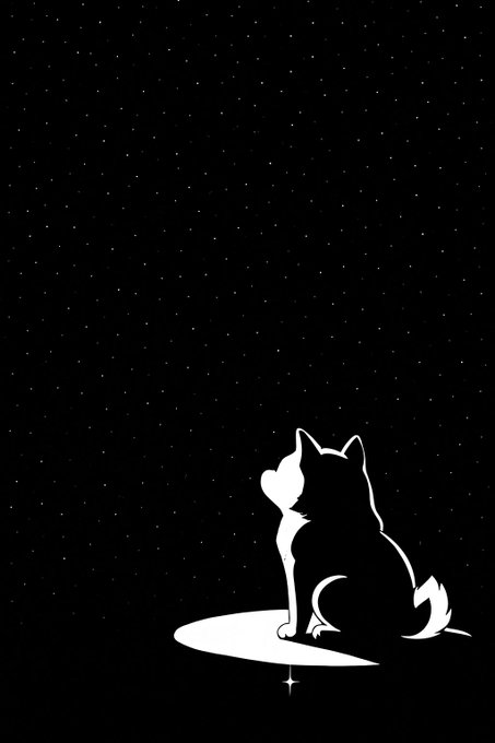 A minimalist black and white illustration shows the silhouette of a cat with a white-tipped tail sitting and gazing up at a starry night sky, perched on a glowing crescent shape.