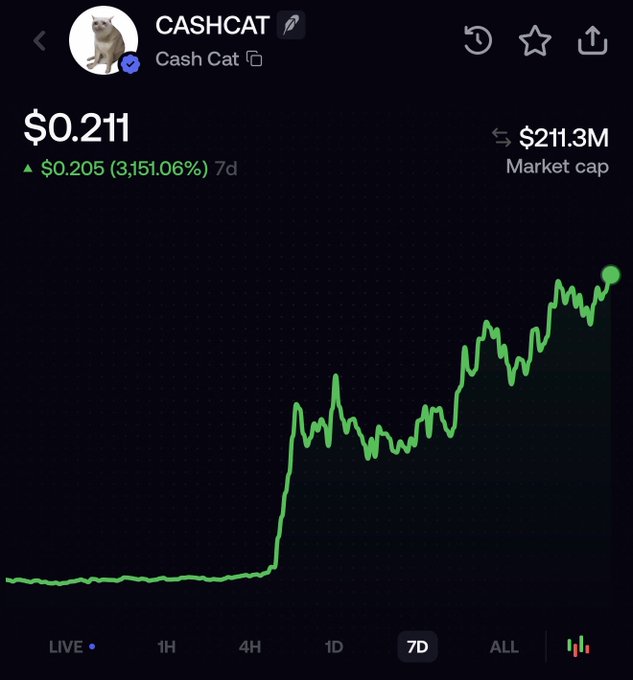A 7-day price chart for the meme token Cash Cat (CASHCAT) shows a dramatic surge from near $0 to $0.211, with a market cap of $211.3M and a 3,151.06% weekly gain—fuel for the poster's joke about his fiancée trading up to a bigger engagement ring as the price heads "to billions."