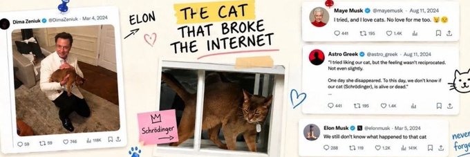 The image is a collage featuring Elon Musk holding a cat on the left, a central graphic titled "THE CAT THAT BROKE THE INTERNET" with a tabby cat labeled "Schrödinger," and three X (formerly Twitter) posts from Maye Musk, Astro Greek, and Elon Musk from August 11, 2024, discussing a cat named Schrödinger that went missing from a house in West Vancouver—not found yet. The collage visually ties into the post's discussion of the $DINGER memecoin, which references Schrödinger's cat, by showcasing the viral internet moment Elon Musk created when searching for the missing pet and giving it a fitting, meme-worthy name that has since fueled the coin's narrative and growing attention.