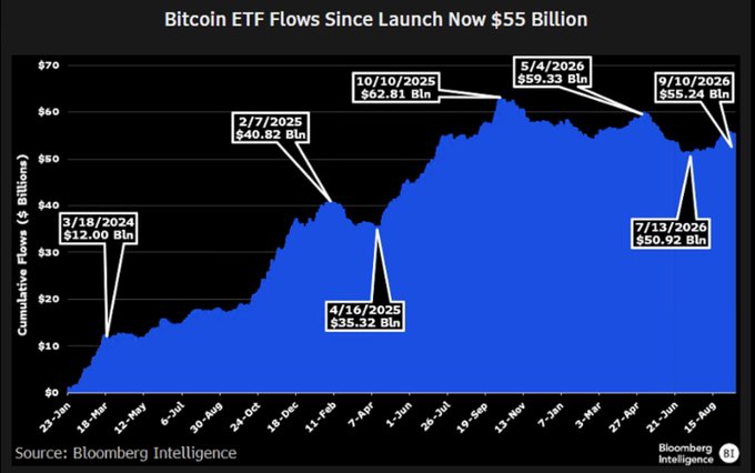 The chart shows Bitcoin ETF cumulative flows since launch, currently at $55.24 billion as of 9/10/2026, down from a peak of $62.81 billion on 10/10/2025 but up from a recent low of $50.92 billion on 7/13/2026. This visualizes the post's point about the resilient inflows despite a 50% drawdown, highlighting the steady accumulation reaching $55 billion in lifetime net flows.