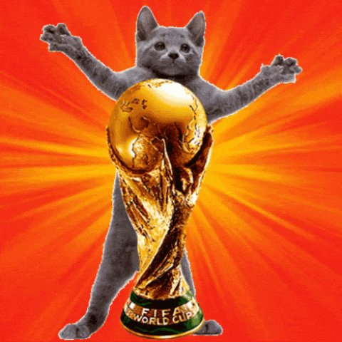 The image features a cat standing next to a trophy, with its arms raised high above its head as if celebrating or showing off the trophy. The background of the image is orange, which contrasts with the gray color of the cat's fur. The caption below the image reads "FATCAT.EXE was not missing. He was watching the World Cup. Analyzed every match. Ran every simulation. Consulted 3 analysts. (cats) His prediction for the winner: "yes."