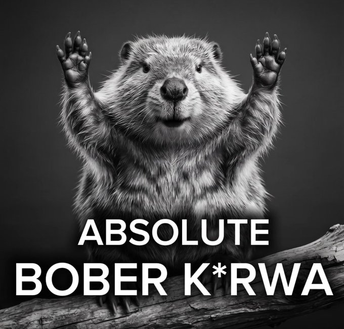 The image features a black and white photo of a bear with its arms raised high above its head. The bear appears to be waving at the camera, giving off an energetic vibe. Below the bear's photo, there is text that reads "Absolute Dobber K'RWA" in white letters. This phrase seems to be related to the image or possibly part of a caption for the photo.