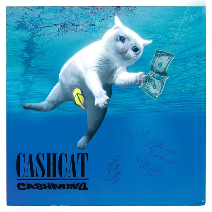 Album cover titled 'CASHCAT CASHMING' featuring a white cat underwater reaching for money on a string; signed 'Vutagraph San Jose CA', 'Spencer Elden The Swimming Cat', 'B.U. Nominelli', and 'ME 4EIFE'.