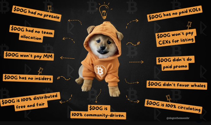 Promotional graphic for the $DOG cryptocurrency featuring a Shiba Inu puppy in an orange Bitcoin hoodie, surrounded by bullet points including '$DOG had no presale', '$DOG has no paid KOLs', and '$DOG is 100% community-driven'.
