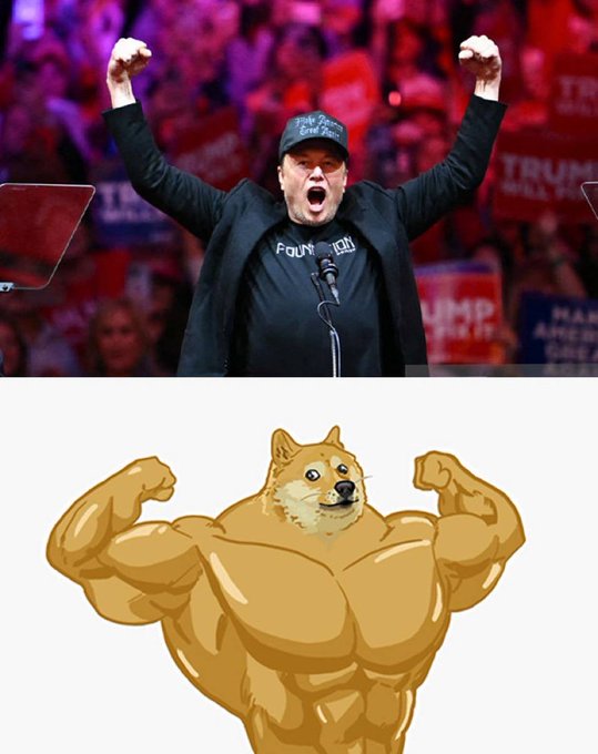 A meme combining two images: top shows Elon Musk in a 'Founding' t-shirt and black cap raising his fists at a Trump rally, bottom shows the buff Doge/Shiba Inu character flexing muscles.