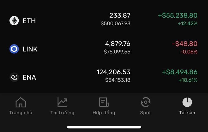 A screenshot of a cryptocurrency portfolio displaying holdings for ETH (233.87, +$55,238.80, +12.42%), LINK (4,879.76, -$48.80, -0.06%), and ENA (124,206.53, +$8,494.86, +18.61%), with Vietnamese navigation tabs below.