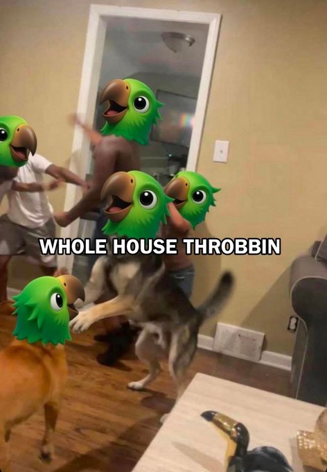 A humorous image showing people dancing in a living room with green parrot emojis covering their heads and a dog standing on hind legs, captioned 'WHOLE HOUSE THROBBIN'.