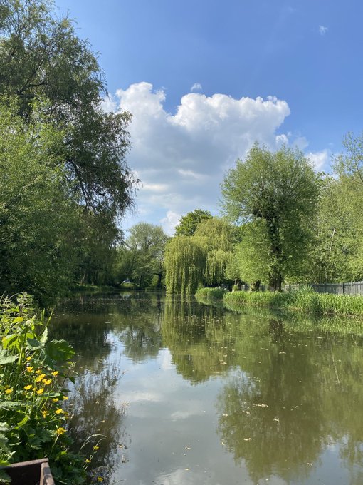 A serene landscape photograph of a calm river or canal lined with willow trees under a blue sky with a large white cloud.