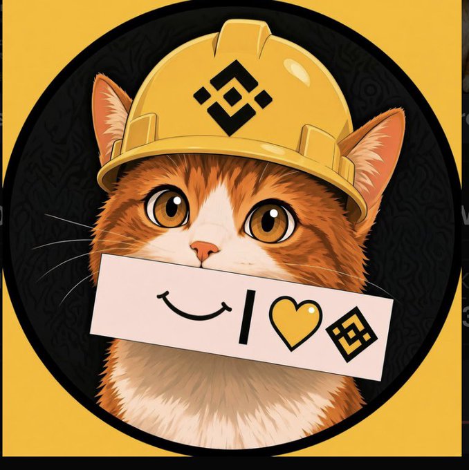 An adorable orange and white cat wears a yellow Binance-branded hard hat with the BNB logo, holding a sign that reads "I ❤️ ⬜" (with a Binance logo icon), visually representing the #BNBCAT mascot whose crown-like helmet resembles royal attire when viewed from afar.