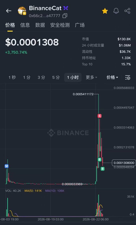 Binance trading chart for BinanceCat (0x66c2...a47777) showing a price of $0.0001308 with a +3,750.74% surge, market cap of $130.8K, and a sharp price spike from $0.0000033969 to $0.0005411172.