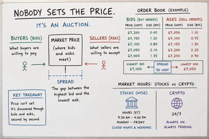 A whiteboard illustration titled 'NOBODY SETS THE PRICE. IT'S AN AUCTION.' explaining market prices, bids, asks, and spread, with an order book example and a comparison of stock (NYSE) versus crypto market hours.