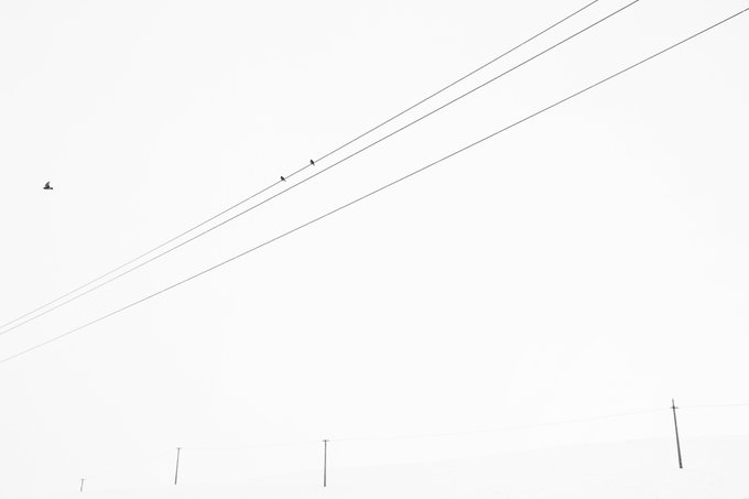 A stark, minimalist photograph featuring birds perched on power lines against a pale sky, capturing a quiet moment titled "A Pause in Flight" as part of a 15-edition NFT collection by Tezos photography artist hicetnu on objkt.com.