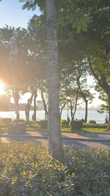 A sunlit outdoor scene by a body of water, featuring a tall tree trunk in the foreground, green foliage, and pink flowers blooming in the lower bushes.