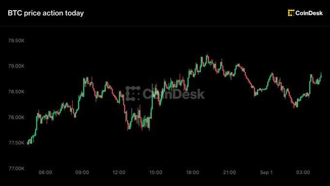 A CoinDesk chart titled "BTC price action today," displaying the fluctuating price of Bitcoin between $77.00K and $79.50K over a 24-hour period.