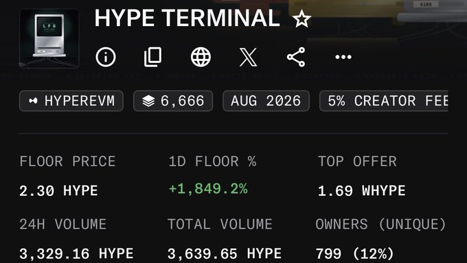 A HYPE TERMINAL dashboard displays NFT collection statistics for HyperEVM, including a floor price of 2.30 HYPE, 24H volume of 3,329.16 HYPE, total volume of 3,639.65 HYPE, and 799 unique owners.