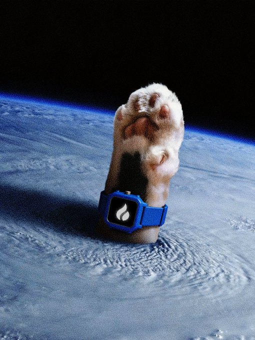 A cat wearing a blue smartwatch displaying a flame icon appears to launch skyward from Earth, with "G to the M" symbolizing a journey "To The Moon"—a phrase often used to indicate skyrocketing growth, befitting the watch's fire emoji and the cat's dramatic ascent.