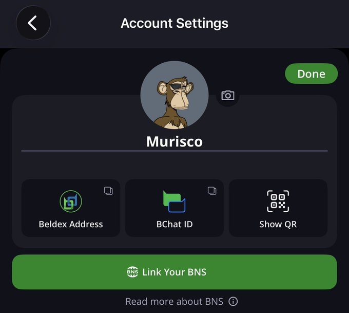 The screenshot displays the "Account Settings" page for a BChat user named "Murisco," featuring a monkey avatar alongside options for Beldex Address, BChat ID, Show QR, and a prominent green "Link Your BNS" button. This directly illustrates the post's observation about how much functionality is packed into a single settings screen, highlighting the BNS linking feature as the standout element within Beldex's ecosystem.