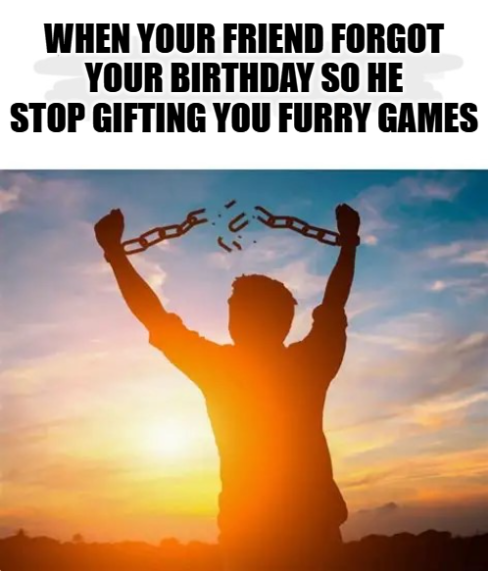 A meme featuring a silhouette of a person breaking chains against a sunset, with the caption 'WHEN YOUR FRIEND FORGOT YOUR BIRTHDAY SO HE STOP GIFTING YOU FURRY GAMES'.