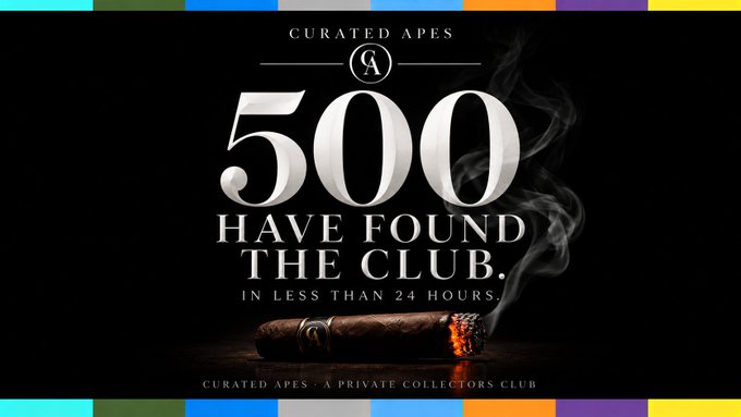 An advertisement for 'Curated Apes' cigar club on a black background, displaying '500 HAVE FOUND THE CLUB. IN LESS THAN 24 HOURS' above a lit cigar, bordered by colorful stripes.