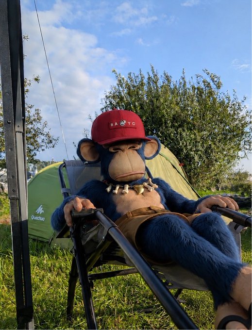 A plush Bored Ape (BAYC) character wearing a red "BAYC" cap sits relaxed in a camping chair at a festival campsite, with a Quechua tent and olive trees visible in the background. The caption "gm gm" pairs with the chill, golden-hour scene of the blue-furred mascot lounging under an open sky.