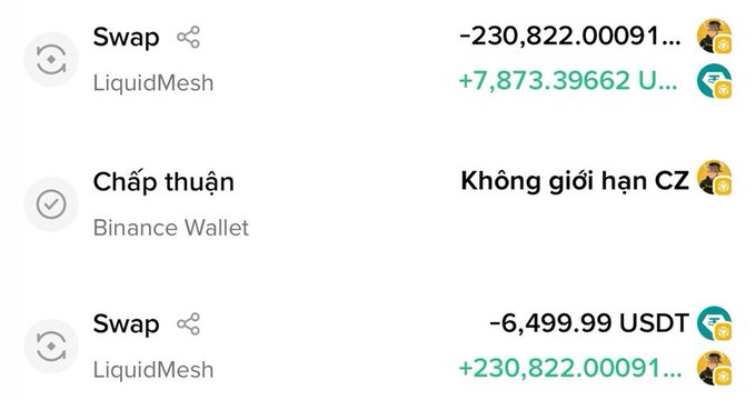A transaction history showing LiquidMesh Swaps exchanging -230,822.00091 for +7,873.39662 U..., a Binance Wallet approval, and a Swap converting 6,499.99 USDT.