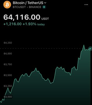 A cryptocurrency price chart on a Binance mobile app showing Bitcoin/TetherUS (BTCUSDT) at 64,116.00 USDT, up +1,216.00 (+1.93%) today.