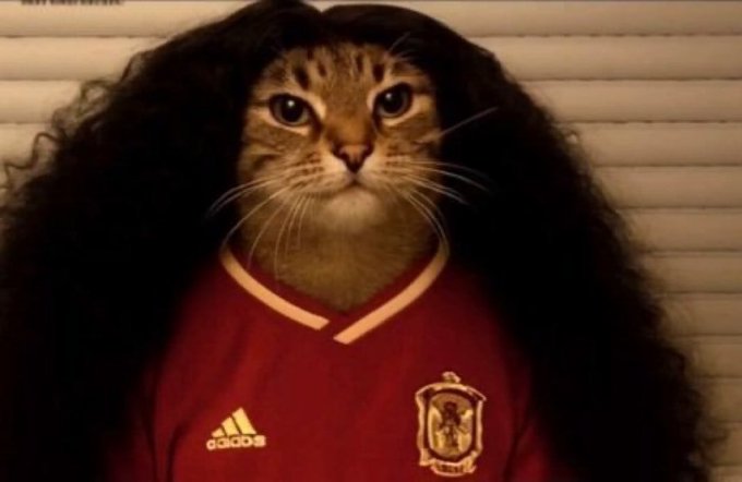 A meme of a cat's face photoshopped onto a body wearing a curly black wig and a red Spain national soccer team (RFEF) Adidas jersey, set against window blinds.