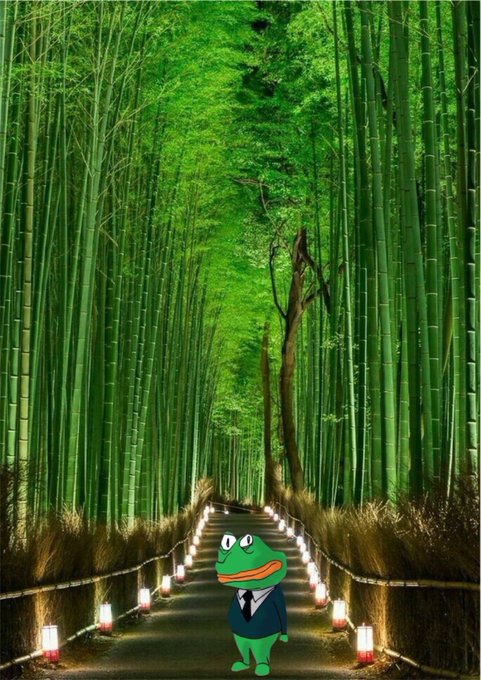 A Pepe the Frog cartoon character wearing a black suit stands on a path lined with lanterns through a tall green bamboo forest.