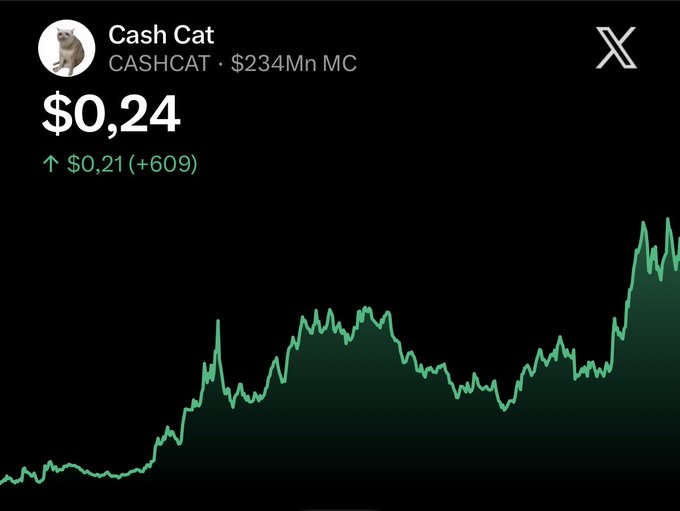 A price chart for Cash Cat (CASHCAT) showing a current value of $0.24 with a market cap of $234Mn and a recent 609% gain (+$0.21), illustrating the explosive upward momentum that supporters cite as evidence for the meme coin's potential to reach $1 in 2026.